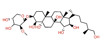 Kurilensoside F